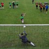 bft 2011 216 mittel